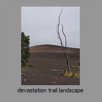 devastation trail landscape